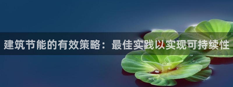 e尊国际娱乐官网下载：建筑节能的有效策略：最佳实践以实现可持续性