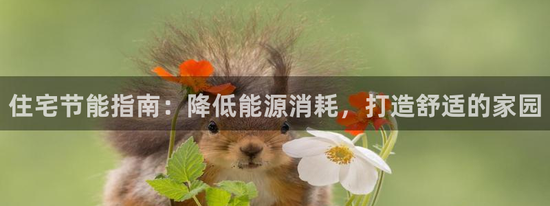 e尊官网：住宅节能指南：降低能源消耗，打造舒适的家园