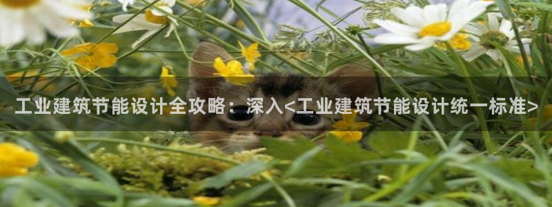 e尊国际官网app：工业建筑节能设计全攻略：深入<工业建筑节能设计统一标准>