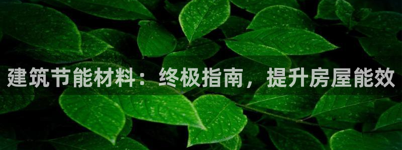 e尊国际官网app：建筑节能材料：终极指南，提升房屋能效
