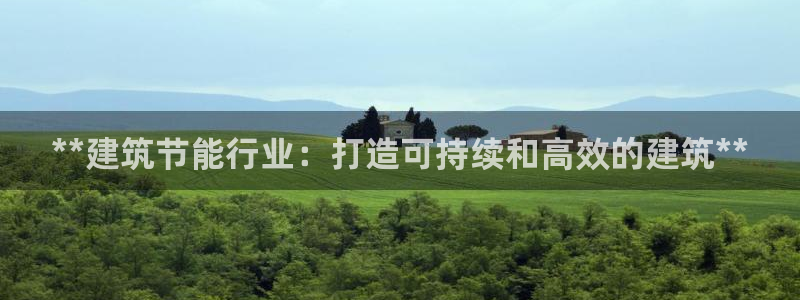 e尊国际网址：**建筑节能行业：打造可持续和高效的建筑**
