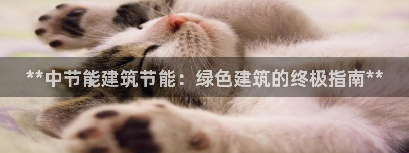 谁知道e尊国际的网址：**中节能建筑节能：绿色建筑的终极指南**
