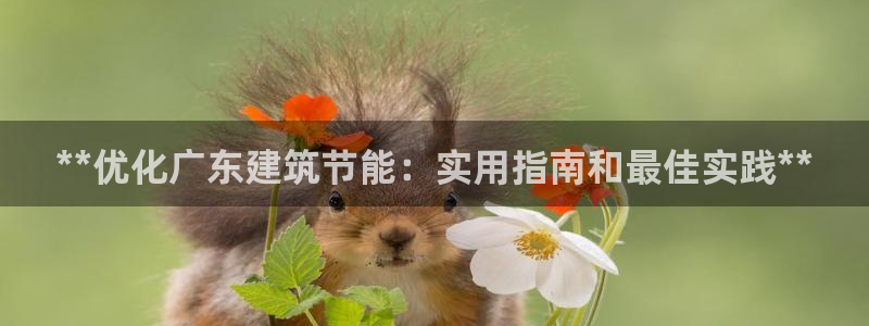 e尊国际客户端：**优化广东建筑节能：实用指南和最佳实践**