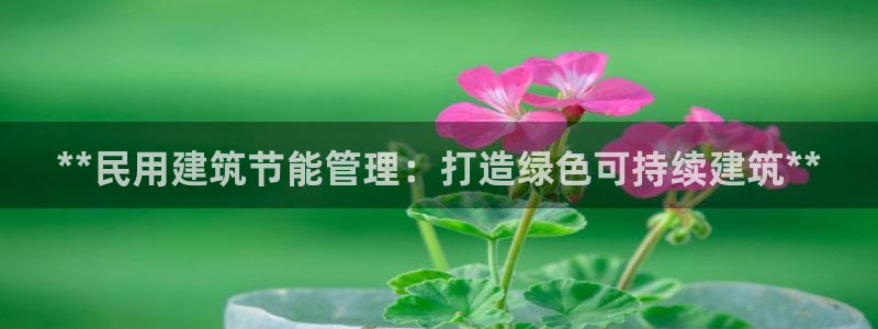 e尊国际官网app：**民用建筑节能管理：打造绿色可持续建筑**