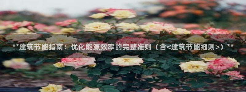 e尊平台