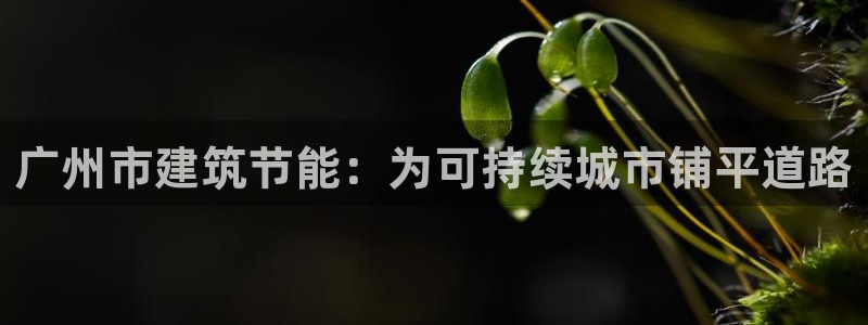 e尊国际官方网站：广州市建筑节能：为可持续城市铺平道路