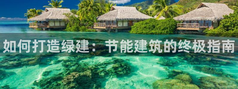 e尊国际-e尊国际官网