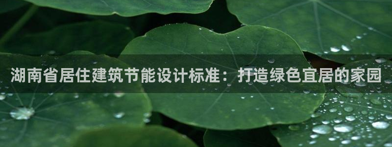 E尊国际