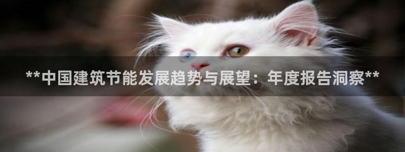 e尊国际娱乐官网地址