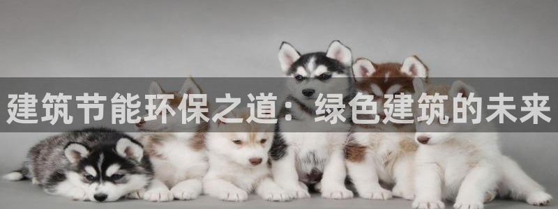 e尊国际客户端