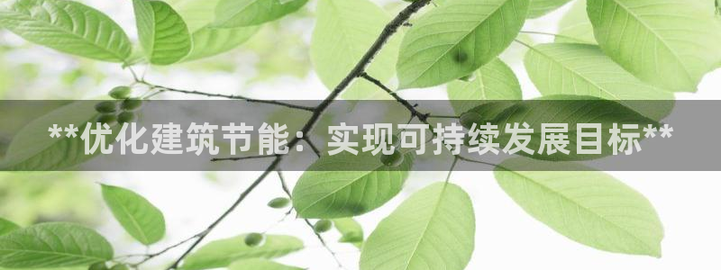 e尊国际平台