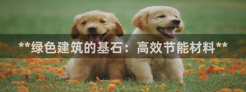 e尊国际客户端下载