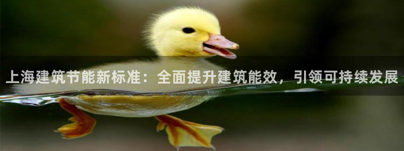 e尊国际的手机登录网站：上海建筑节能新标准：全面提升建筑能效，引领可持续发展