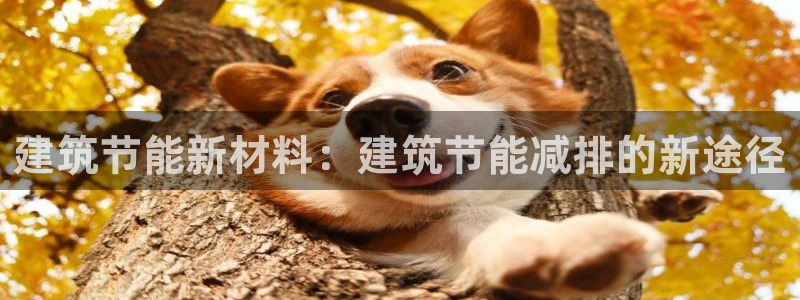 e尊国际平台