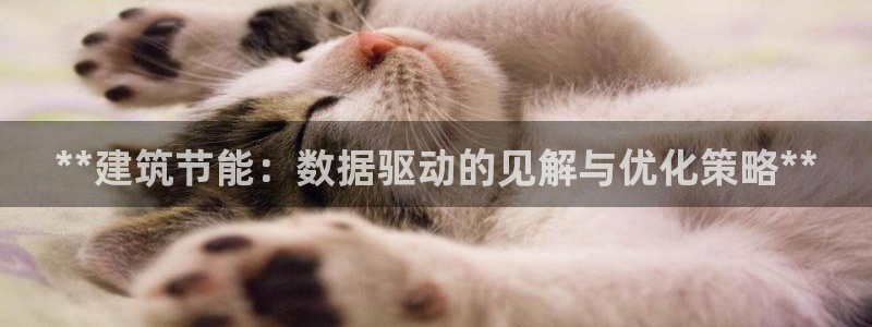 e尊国际app