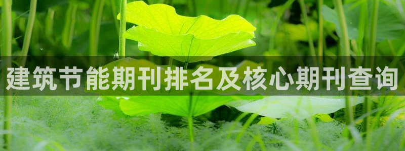 e尊国际官网app