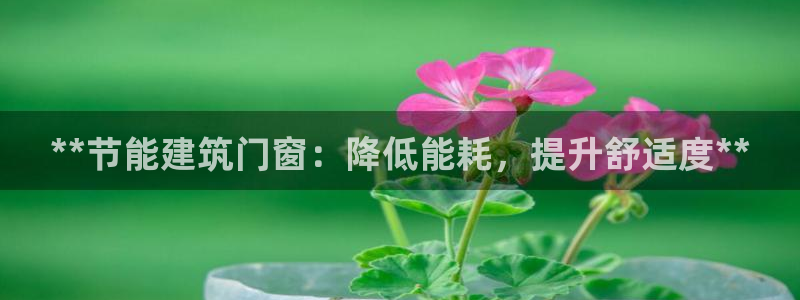 E尊国际网站