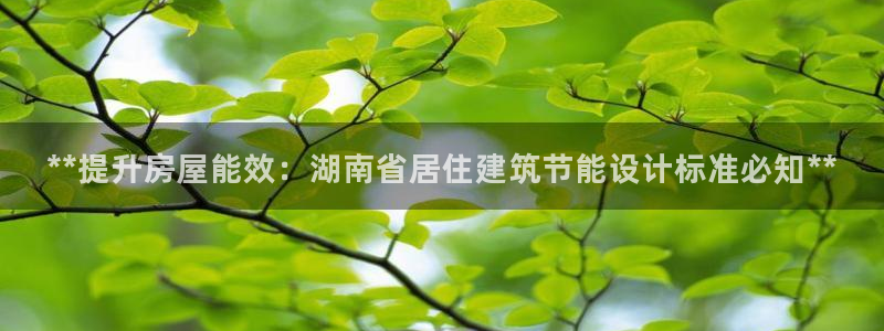 e尊国际客户端
