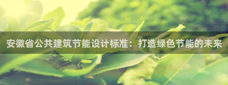 谁知道e尊国际的网址