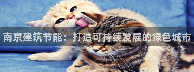 e尊国际客户端下载
