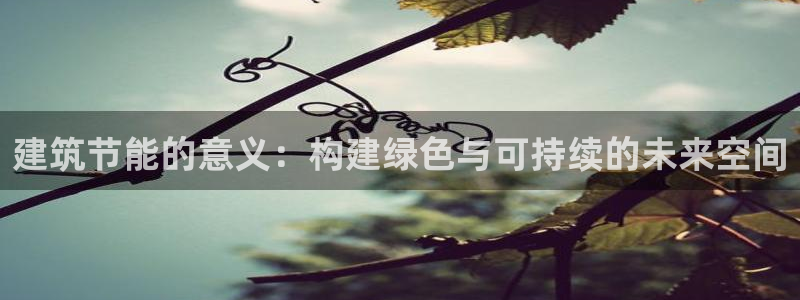 e尊国际官网