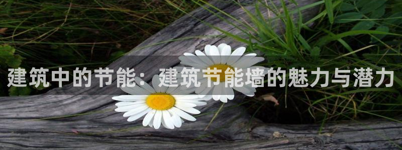 e尊国际官方网站