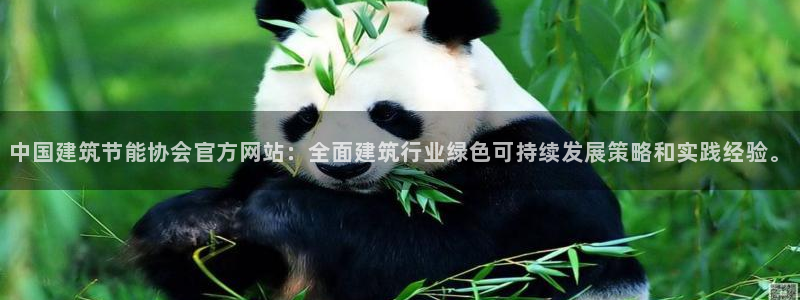 e尊国际平台：中国建筑节能协会官方网站：全面建筑行业绿色可持续发展策略和实践经验。