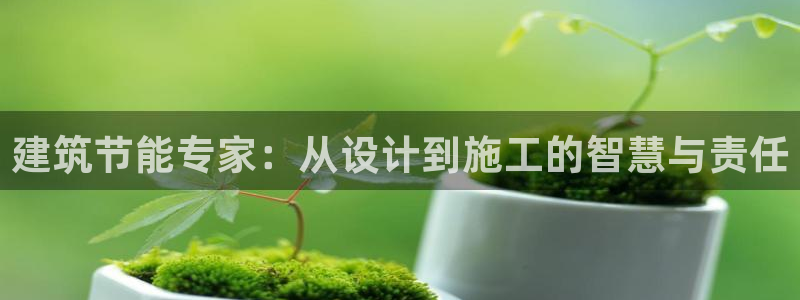 e尊国际官方网站：建筑节能专家：从设计到施工的智慧与责任