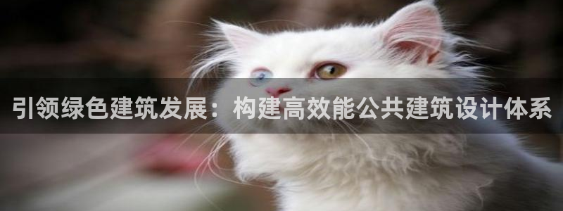 谁知道e尊国际的网址：引领绿色建筑发展：构建高效能公共建筑设计体系