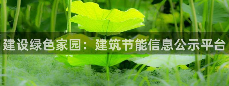 E尊国际网站：建设绿色家园：建筑节能信息公示平台