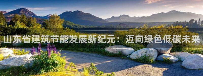 尊亿娱乐国际官网：山东省建筑节能发展新纪元：迈向绿色低碳未来