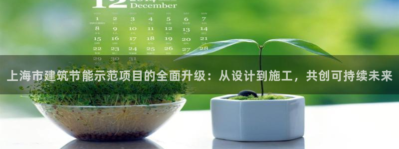 E尊国际网站：上海市建筑节能示范项目的全面升级：从设计到施工，共创可持续未来