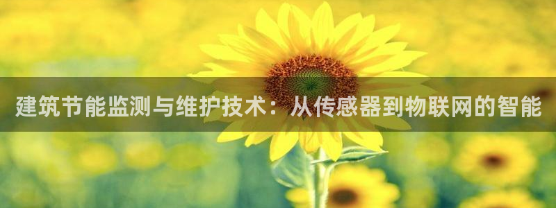 E尊国际