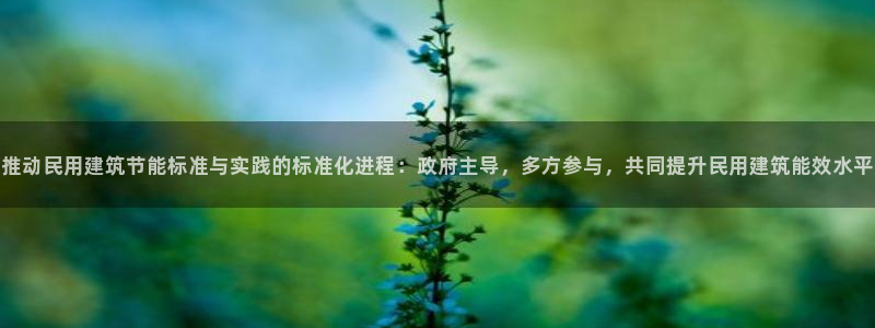 e尊国际app