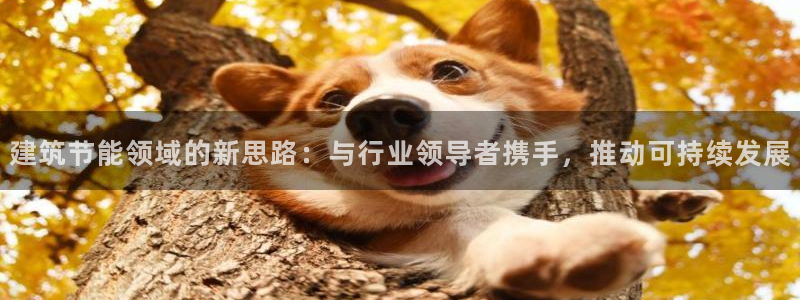 e尊国际可靠吗：建筑节能领域的新思路：与行业领导者携手，推动可持续发展