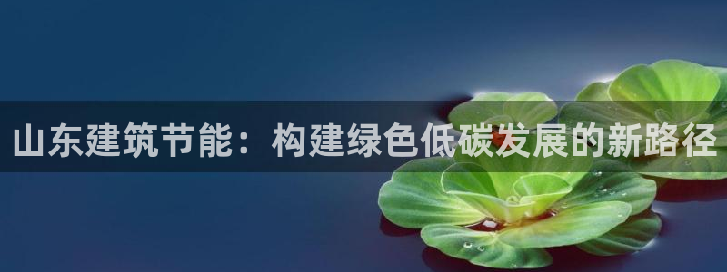 e尊平台：山东建筑节能：构建绿色低碳发展的新路径