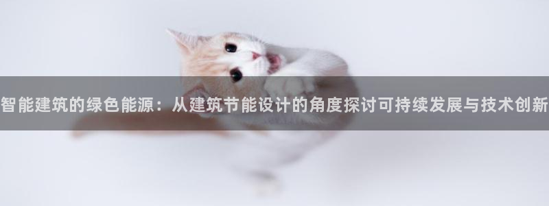 e尊国际-可可计划
