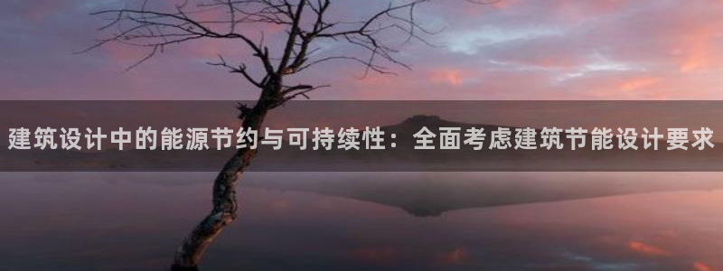 e尊国际平台