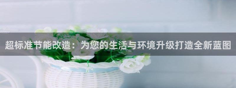 e尊国际网址：超标准节能改造：为您的生活与环境升级打造全新蓝图