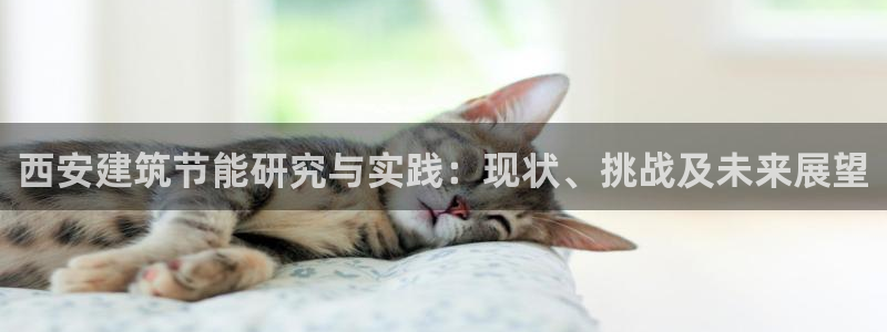 E尊国际网站：西安建筑节能研究与实践：现状、挑战及未来展望