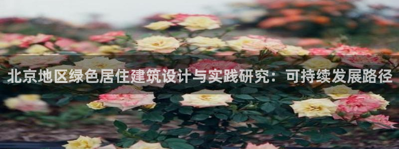 e尊国际客户端下载