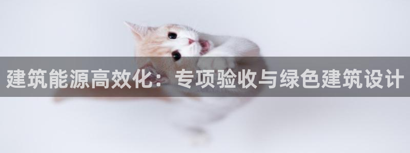 e尊国际-可可计划
