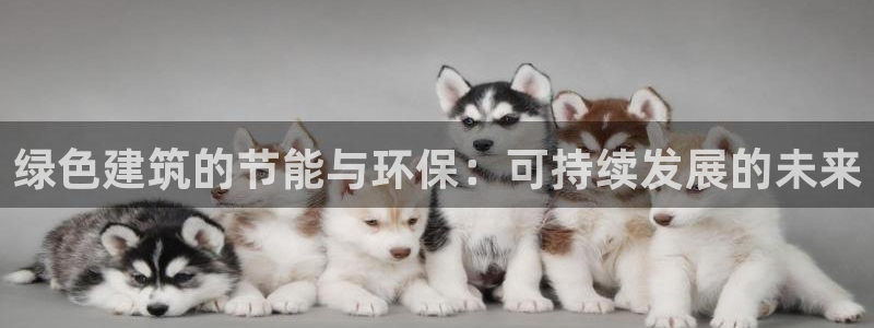 e尊国际-可可计划：绿色建筑的节能与环保：可持续发展的未来