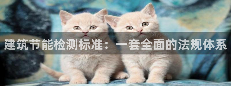 e尊国际娱乐官网下载