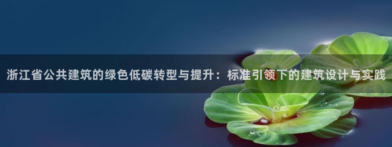 e尊国际是个黑网：浙江省公共建筑的绿色低碳转型与提升：标准引领下的建筑设计与实践