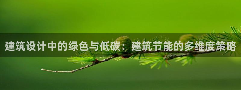 e尊国际是个黑网