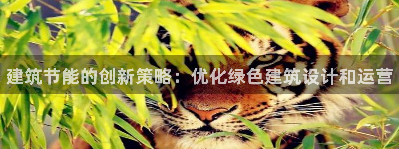 E尊国际网站：建筑节能的创新策略：优化绿色建筑设计和运营