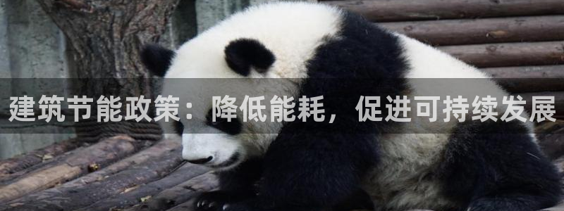 e尊国际网址：建筑节能政策：降低能耗，促进可持续发展