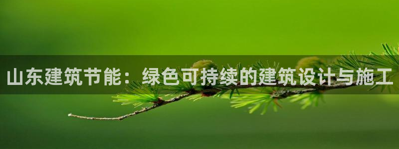 e尊国际网址：山东建筑节能：绿色可持续的建筑设计与施工