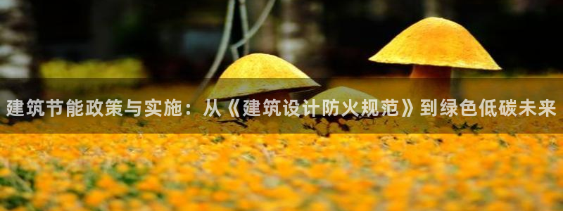 e尊国际娱乐官网地址：建筑节能政策与实施：从《建筑设计防火规范》到绿色低碳未来